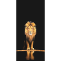 lion gold/Black PVC Marble