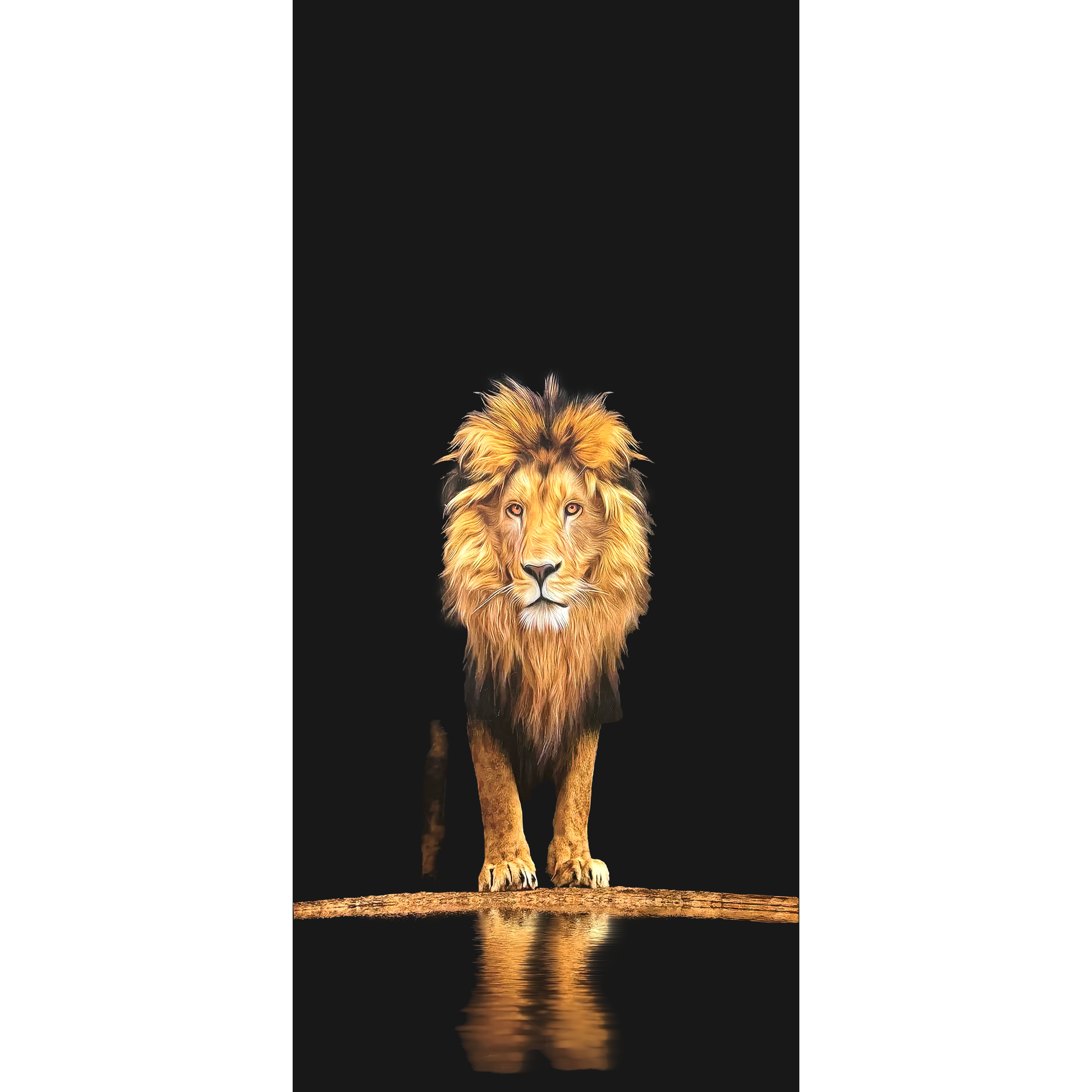 lion gold/Black PVC Marble