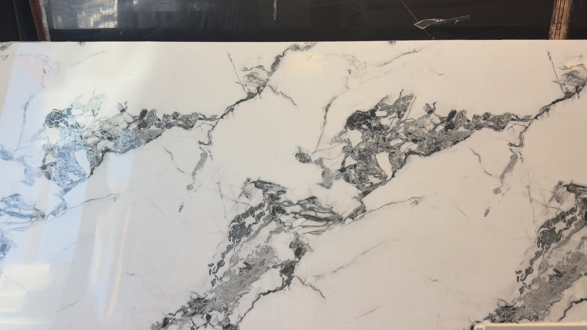 March New Black and White PVC Marble Panel